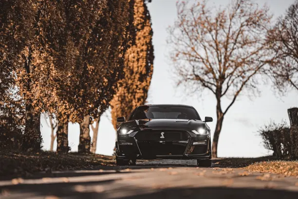 Casino Lion Wins Application Android/iOS